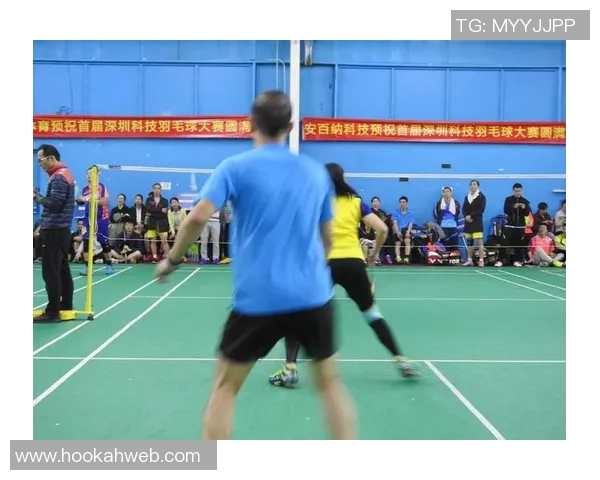 深圳羽毛球队逆袭之旅揭秘精英赛背后的奋斗与荣耀